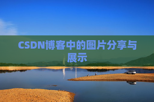 CSDN博客中的图片分享与展示